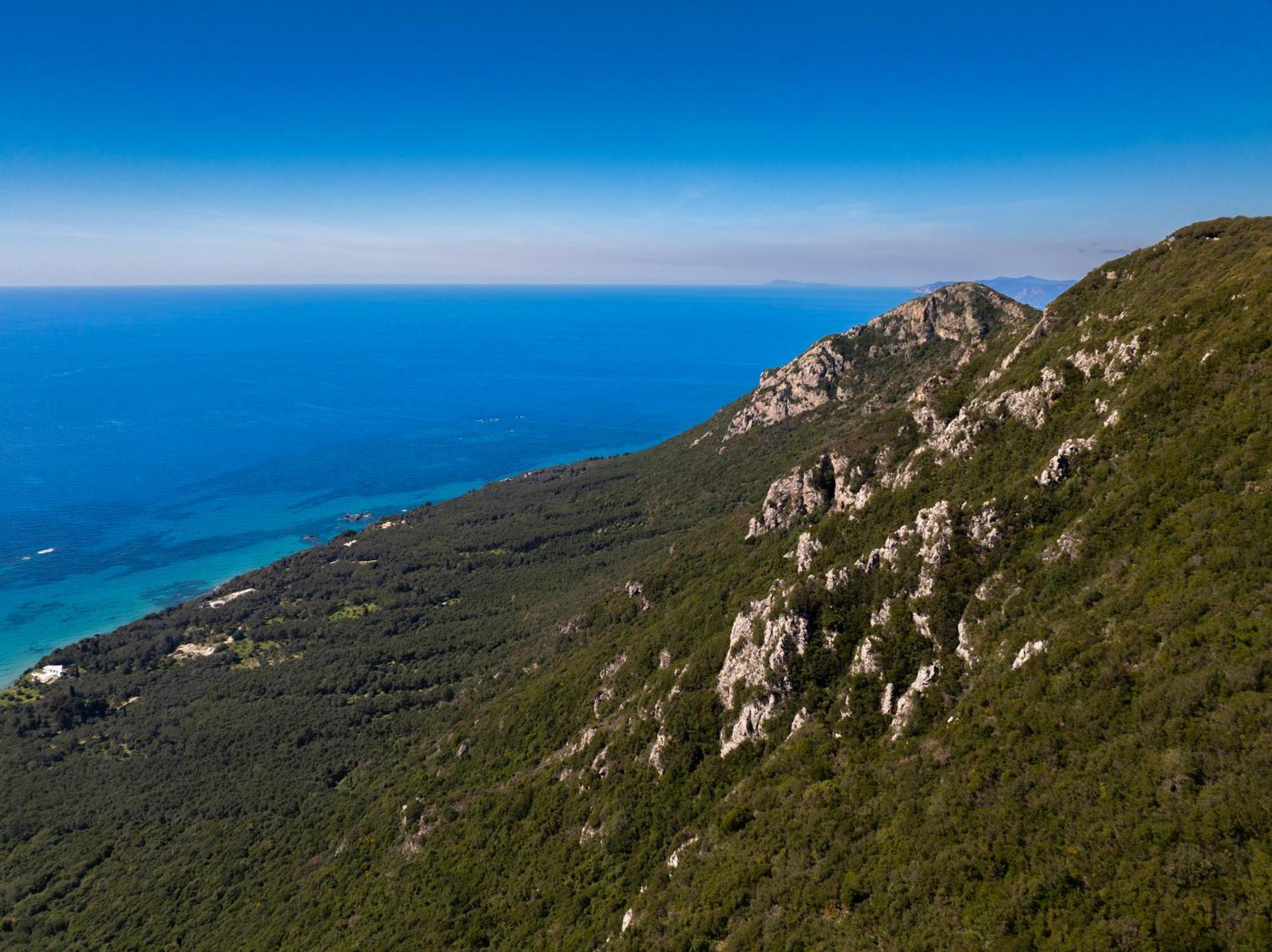 Artemis Prasoudi Beach Halikúnasz Kültér fotó
